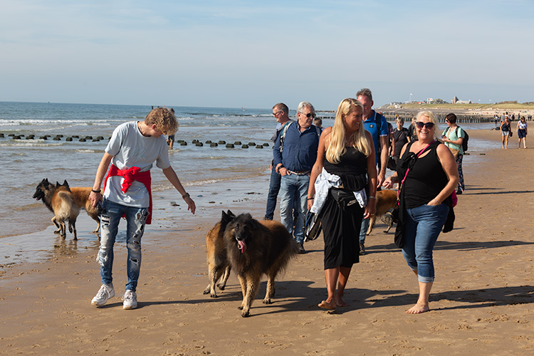 Wandeling Zoutelanden